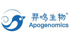 羿鸣生物：基于合成生物学架构全新无创分子诊断底层技术平台，搅动千亿市场