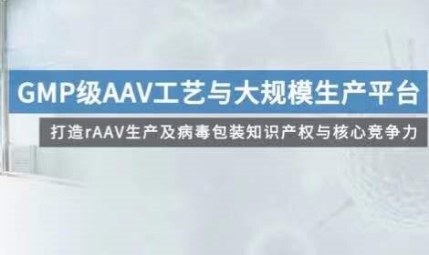 派真生物完成数亿元pre-C轮融资，加快rAAV规模化产能扩张