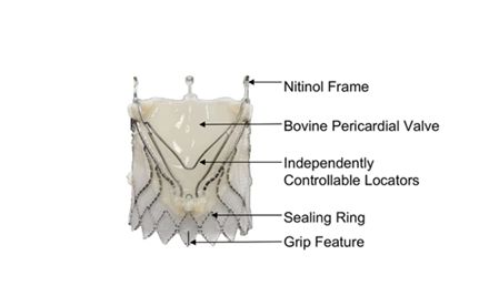 【里程碑】重度主动脉瓣反流适应症产品再+1！江苏获批一款TAVR产品