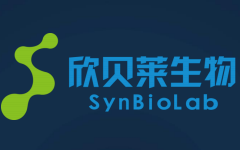 欣贝莱生物：面向千亿市场的合成生物研发平台