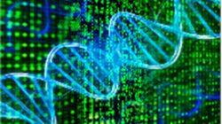 无中生有，定向进化研发人工酶，酶赛生物如何依靠生物催化升级传统工业？