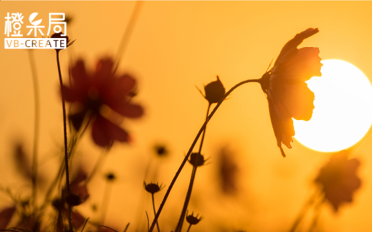 临床介入专家遇上机器人工程师：他们要把穿刺活检从“手艺”变成“科学”
