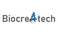 百葵锐生物：精准设计蛋白分子，打造全态链合成生物学平台