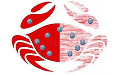 19年FDA疫苗主审官资历，创新创业革新溶瘤病毒，应用免疫系统双信号开发广谱实体瘤生物药