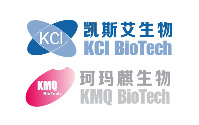 专访凯斯艾生物：大动物+小动物，CRO如何助力CNS药物研发？