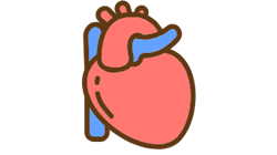 可穿戴心电监测FDA认证率近50%，市场下步如何博弈