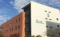 长链二元酸主导全球市场，科创板或将迎来最强硬核科技公司！