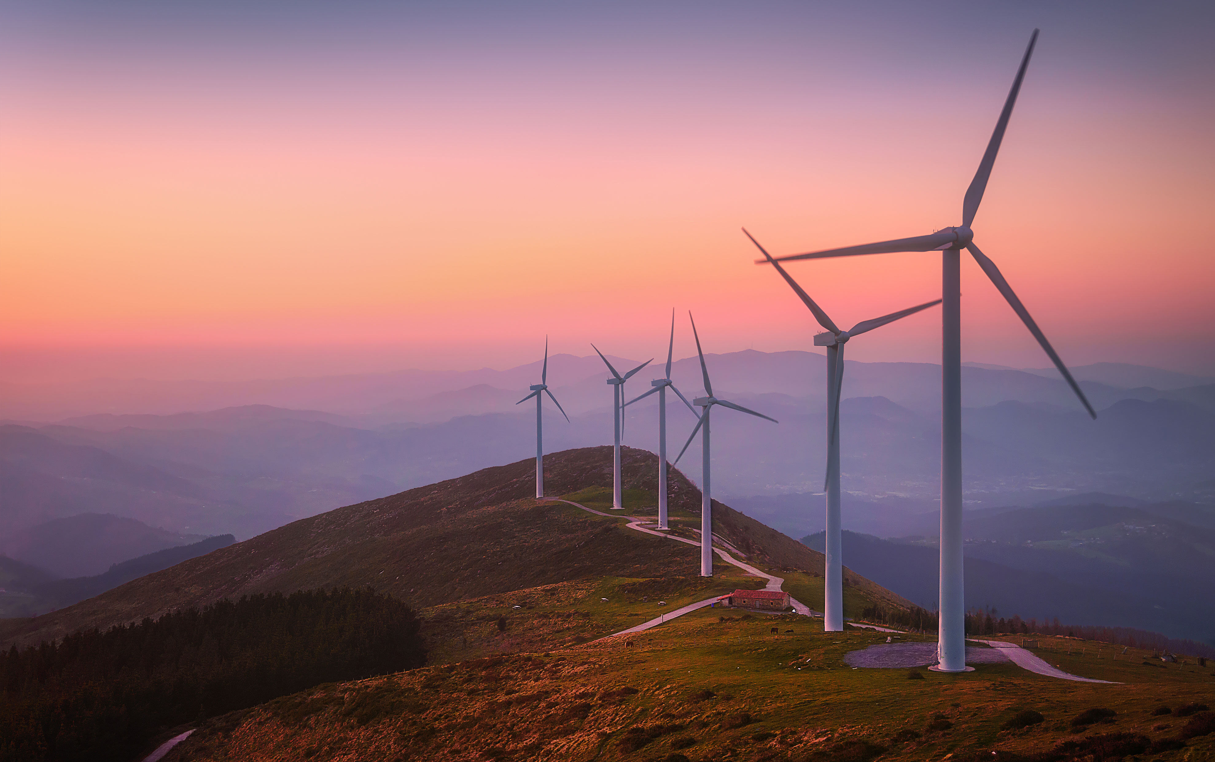 双抗百亿美元时代，谁领跑下一轮？