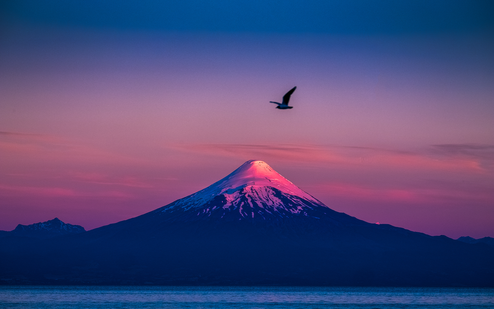 今年全球最大医疗种子轮，引爆这一赛道！