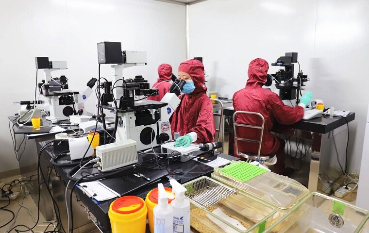 AIxplorerBio索智生物完成五千万元天使轮融资，联合百图生科及维亚生物推动“计算自免药物”研发