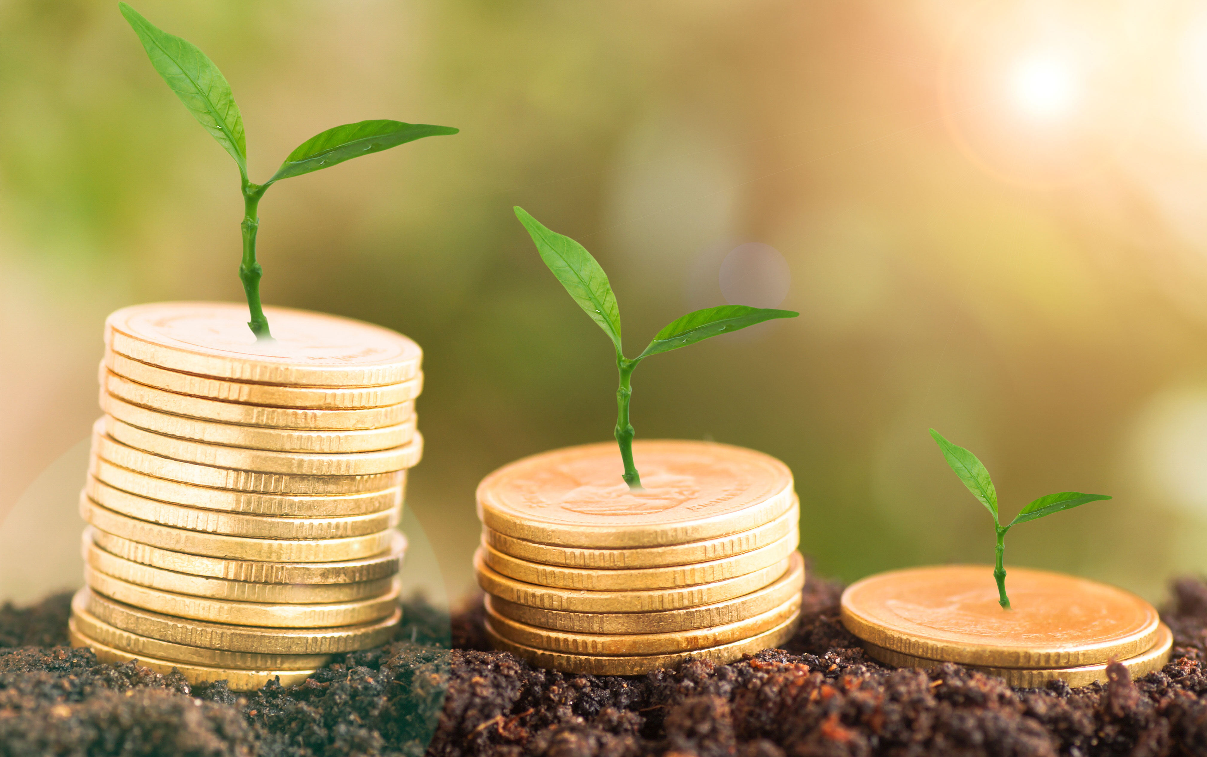 【里程碑】Estrella Immunopharma在2026年ASTCT与CIBMTR Tandem会议上就EB103项目的最新数据做出口头报告