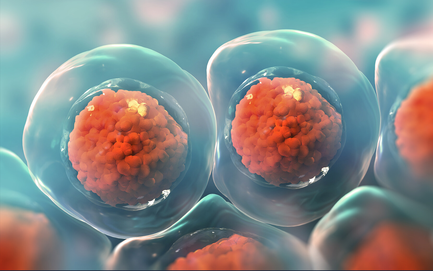 【首发】聚树生物完成超6000万元天使轮融资，打造数据驱动生物制造企业，推动哺乳动物细胞合成生物学发展