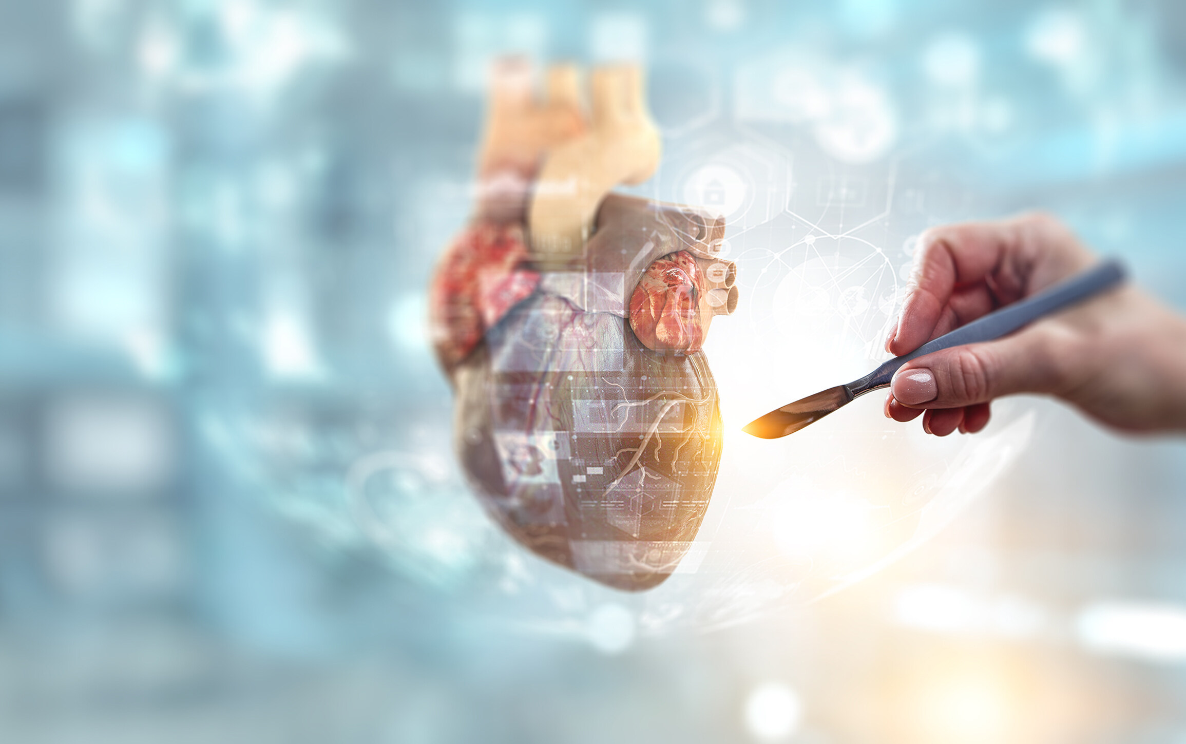 营收相差超80倍！国产瓣膜企业如何追赶爱德华？