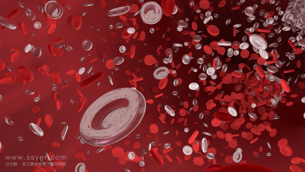 专访北极光创投宋高广：基因治疗打开无限想象空间，三大难点仍待突破【投资人说】