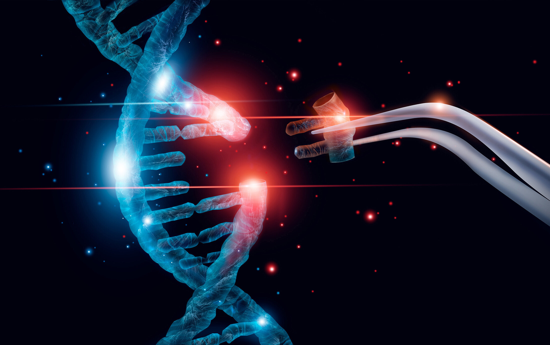 26年两度更名，构筑14大技术平台，合成生物学巨头走上转型之路