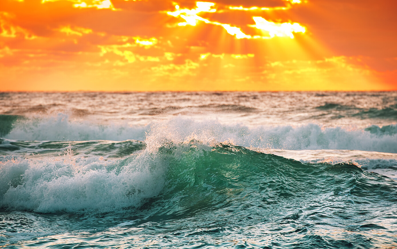 天鹜科技x金赛药业：全球首款经大模型设计实现5000升工业化生产的蛋白质产品落地