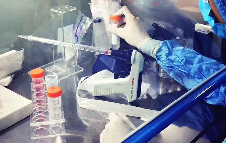 专注国产眼科基因治疗药物，这家企业正在整合临床资源让IRDs患者有药可用|中因科技