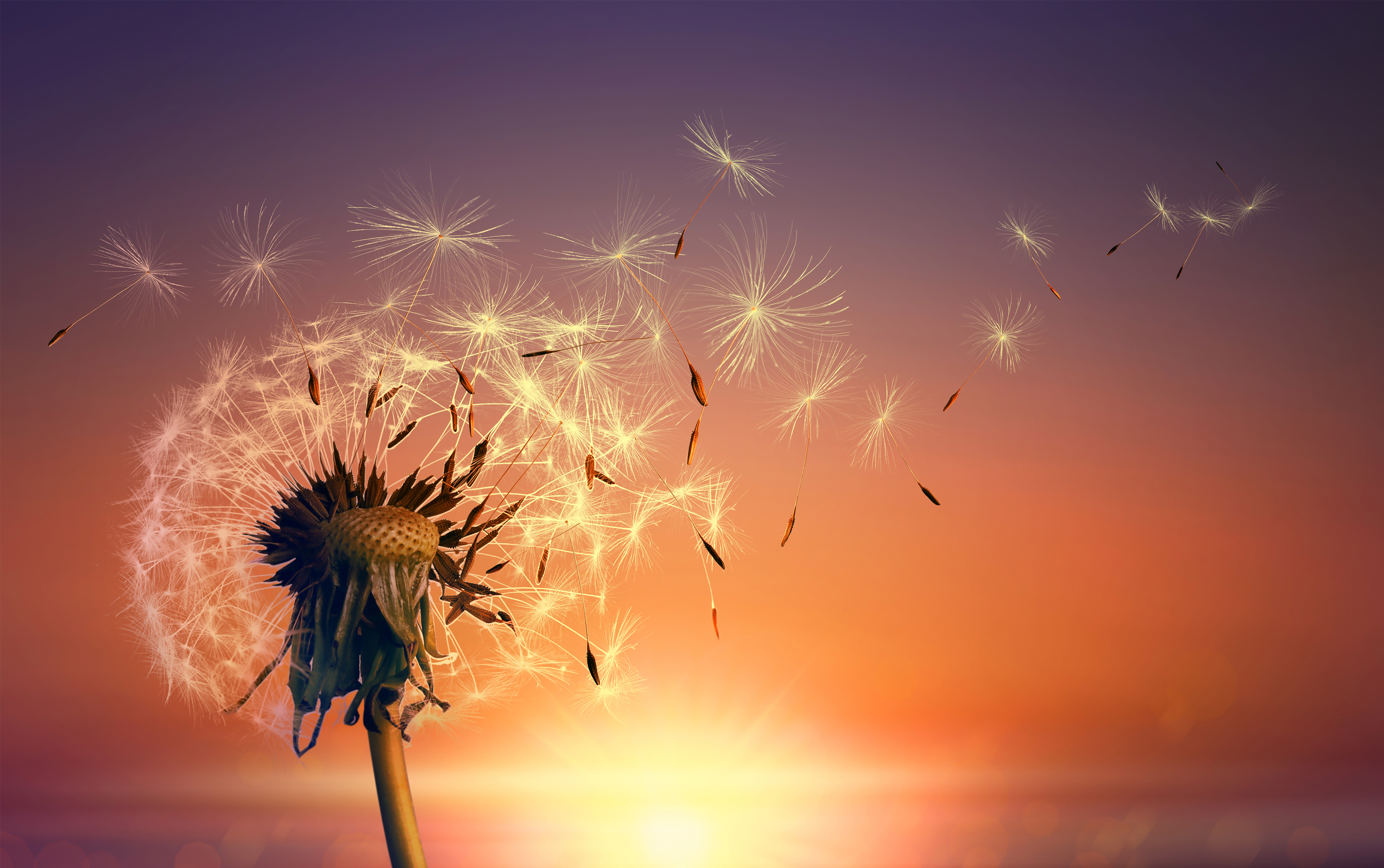 合成生物学2024：割裂中生长