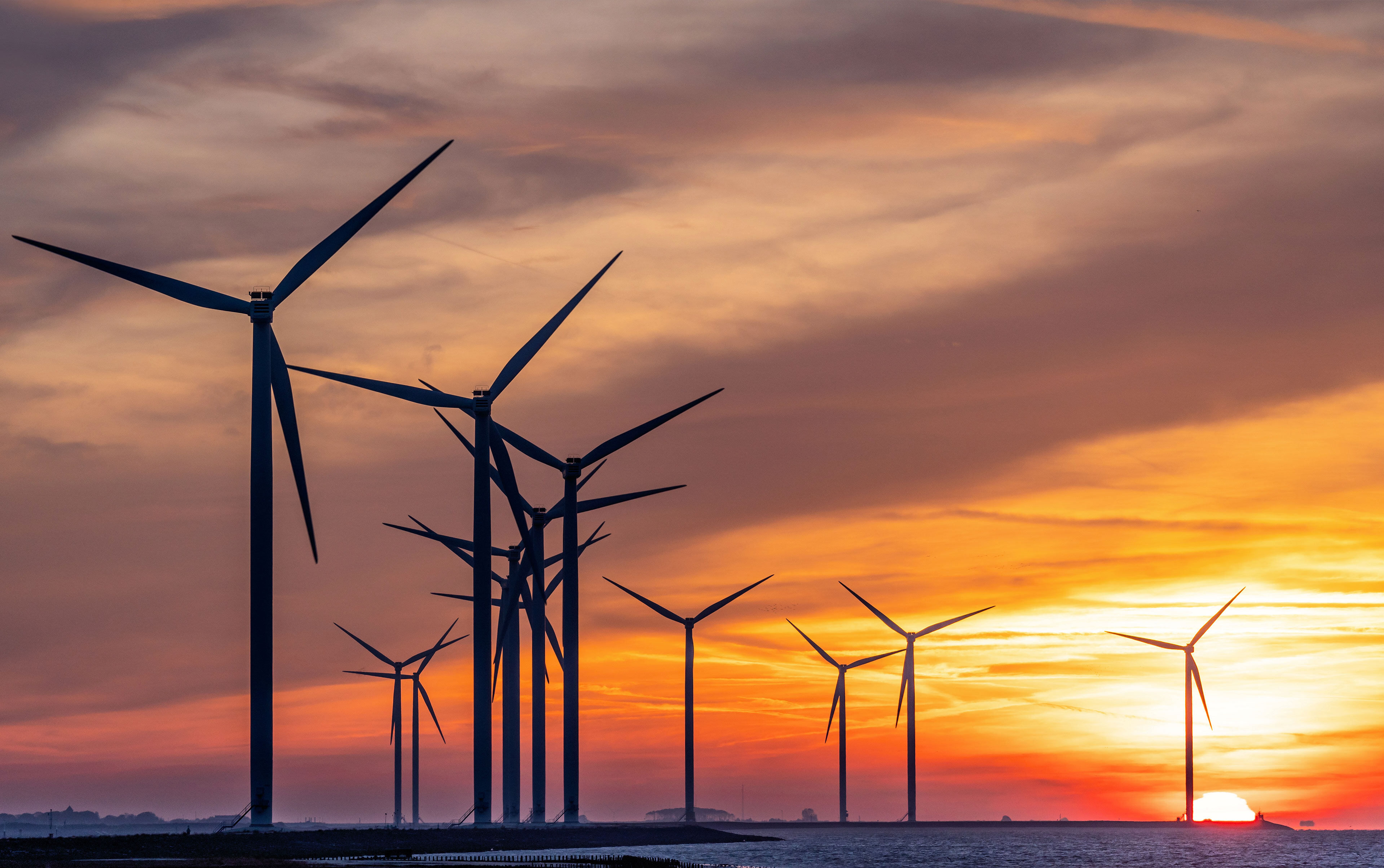 【首发】蒲公英医药创投投资英诺迈博，打造蛋白质组学驱动的AI制药工具平台与先进双抗ADC管线